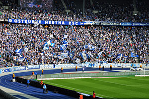 Hertha BSC vs Hoffenheim 1:1 vom 06.04.2014